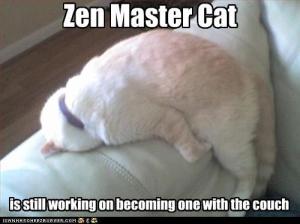 Zen lolcat demonstrates the Art of Sitting