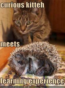 unsafe uncertainty, lol!