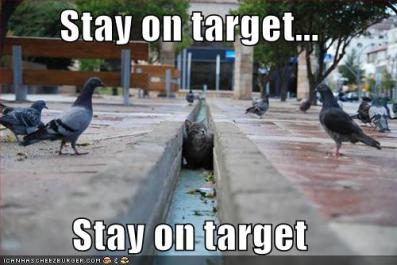 lol-cat-pigeons-star-wars 2 Loosen up!