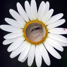 The Royal eye of the day