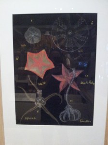 Fabulous observational drawings by Gosse