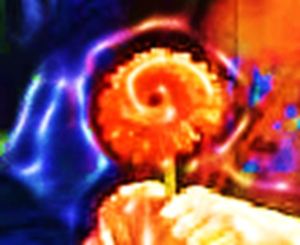 Flower power changing minds