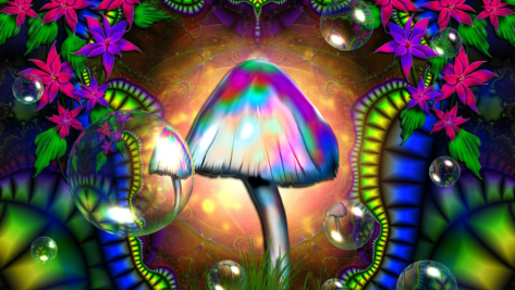 mushrooms1.png